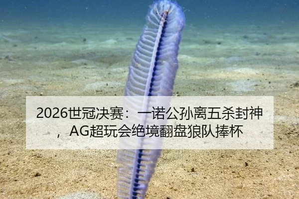 2026世冠决赛：一诺公孙离五杀封神，AG超玩会绝境翻盘狼队捧杯